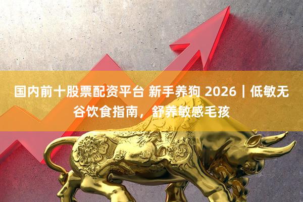 国内前十股票配资平台 新手养狗 2026｜低敏无谷饮食指南，舒养敏感毛孩